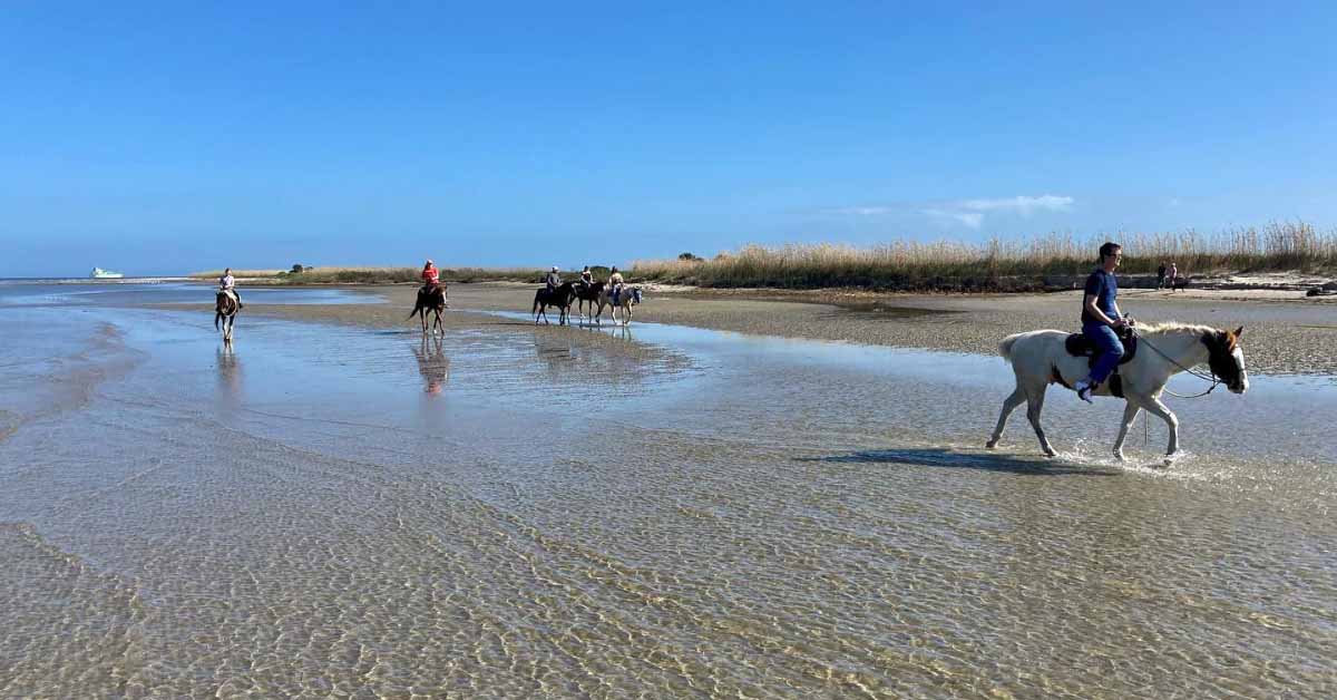 Attractions Stay Galveston
